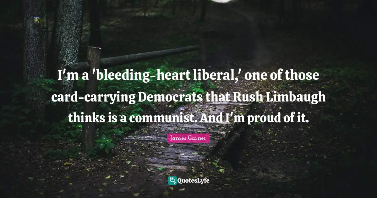 I'm a 'bleeding-heart liberal,' one of those card-carrying Democrats that Rush Limbaugh thinks is a communist. And I'm proud of it.