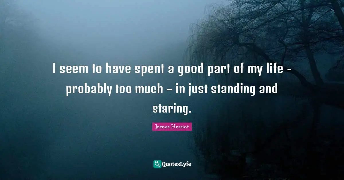 I seem to have spent a good part of my life - probably too much – in just standing and staring.