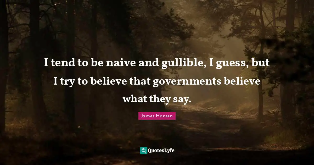 I tend to be naive and gullible, I guess, but I try to believe that governments believe what they say.