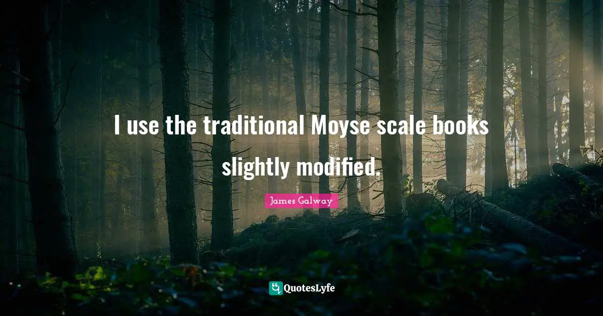 I use the traditional Moyse scale books slightly modified.