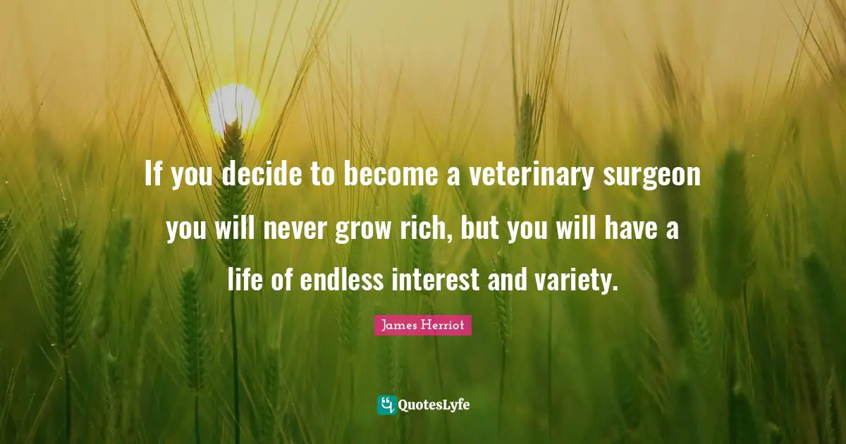 Variety Quotes: "If you decide to become a veterinary surgeon you will never grow rich, but you will have a life of endless interest and variety."
