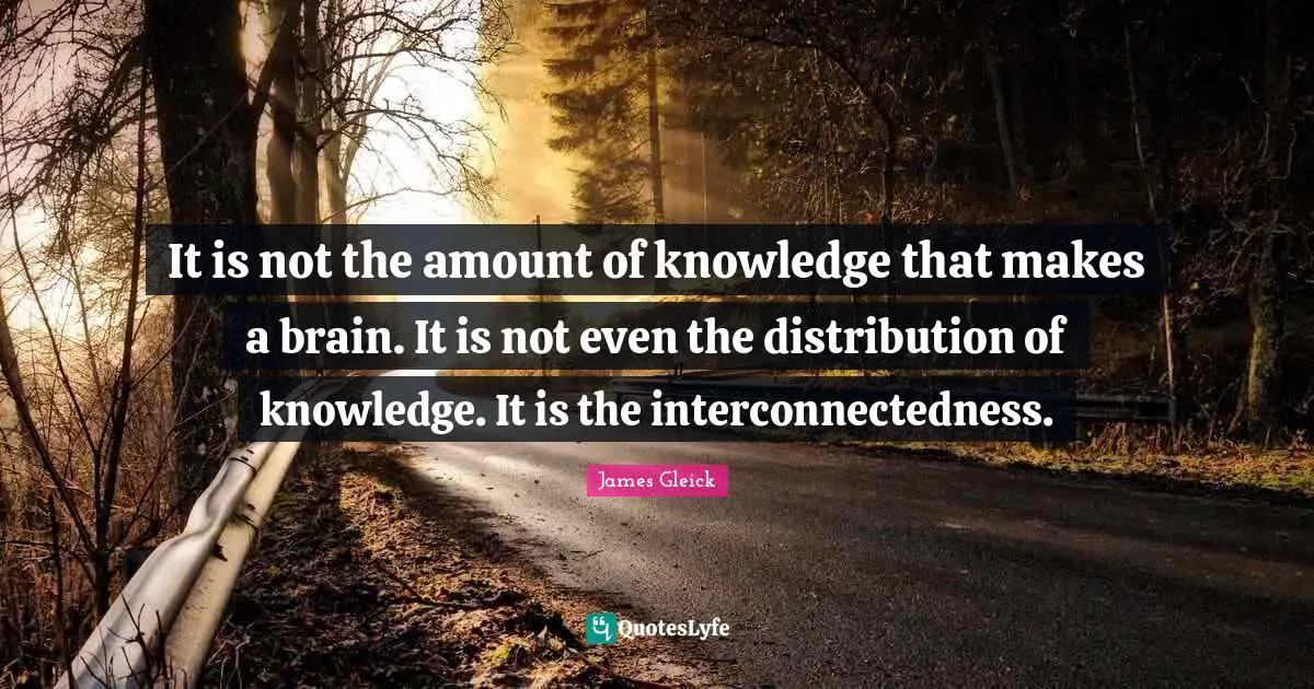 It is not the amount of knowledge that makes a brain. It is not even the distribution of knowledge. It is the interconnectedness.