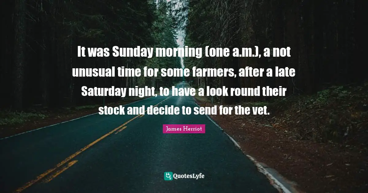 It was Sunday morning (one a.m.), a not unusual time for some farmers, after a late Saturday night, to have a look round their stock and decide to send for the vet.