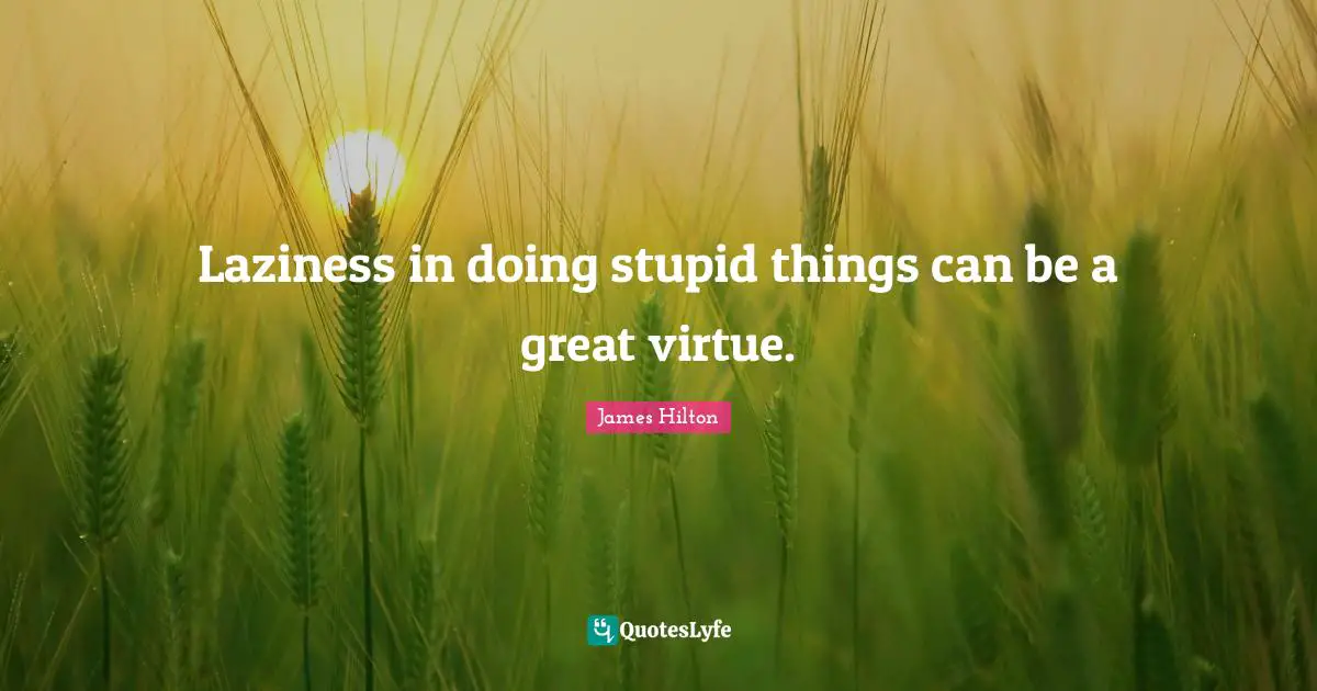 Laziness in doing stupid things can be a great virtue.