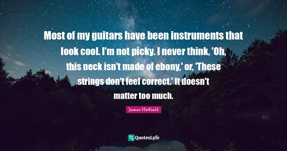 Most of my guitars have been instruments that look cool. I'm not picky. I never think, 'Oh, this neck isn't made of ebony,' or, 'These strings don't feel correct.' It doesn't matter too much.