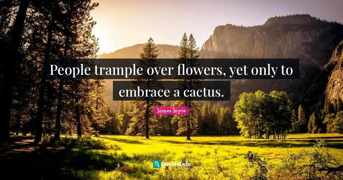 Flower Quotes: "People trample over flowers, yet only to embrace a cactus."