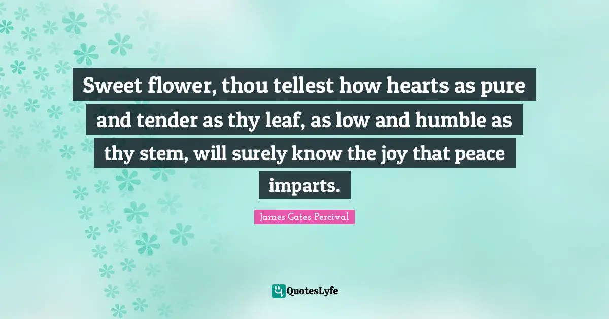 Sweet flower, thou tellest how hearts as pure and tender as thy leaf, as low and humble as thy stem, will surely know the joy that peace imparts.
