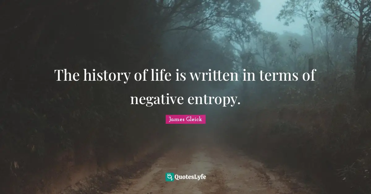The history of life is written in terms of negative entropy.