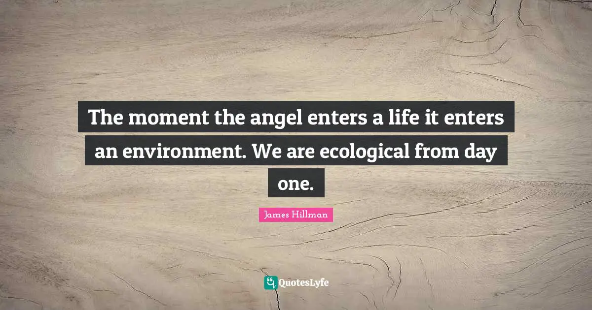 The moment the angel enters a life it enters an environment. We are ecological from day one.