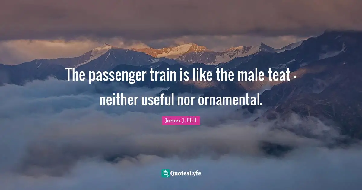 The passenger train is like the male teat - neither useful nor ornamental.