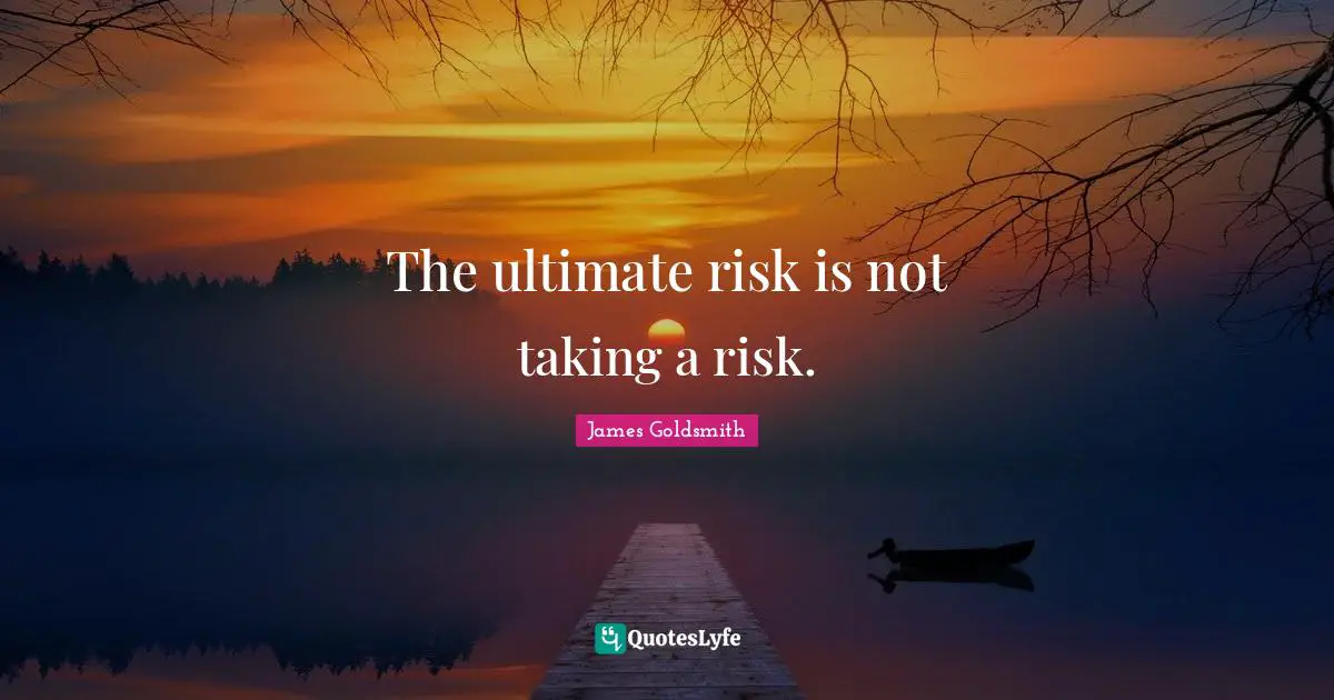 James Goldsmith Quotes: "The ultimate risk is not taking a risk."