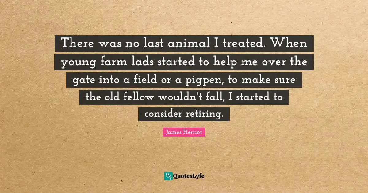 There was no last animal I treated. When young farm lads started to help me over the gate into a field or a pigpen, to make sure the old fellow wouldn't fall, I started to consider retiring.