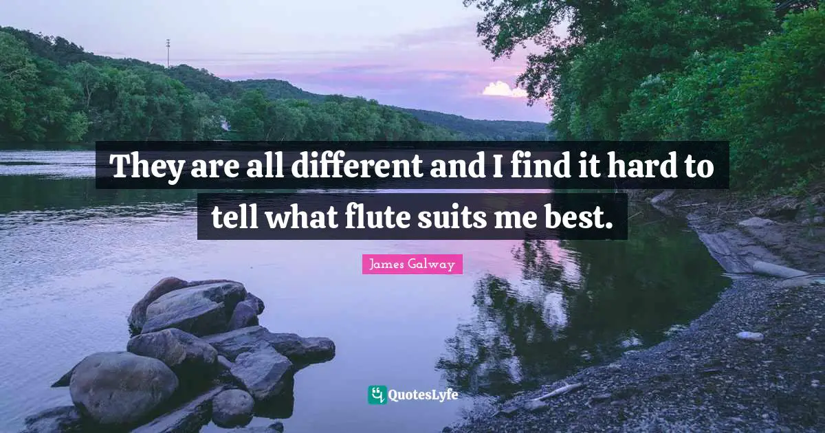 They are all different and I find it hard to tell what flute suits me best.