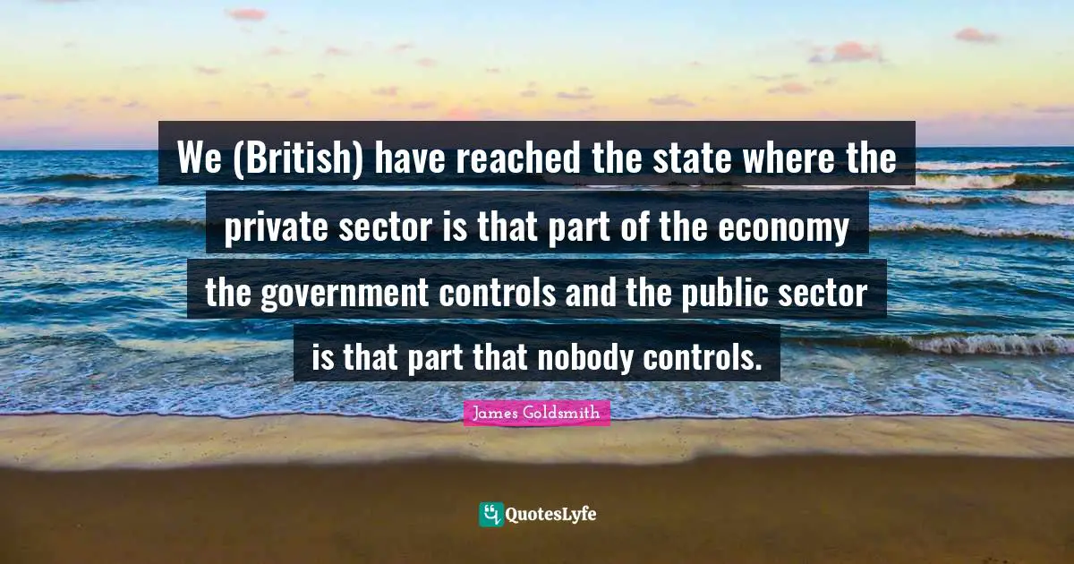 James Goldsmith Quotes: "We (British) have reached the state where the private sector is that part of the economy the government controls and the public sector is that part that nobody controls."