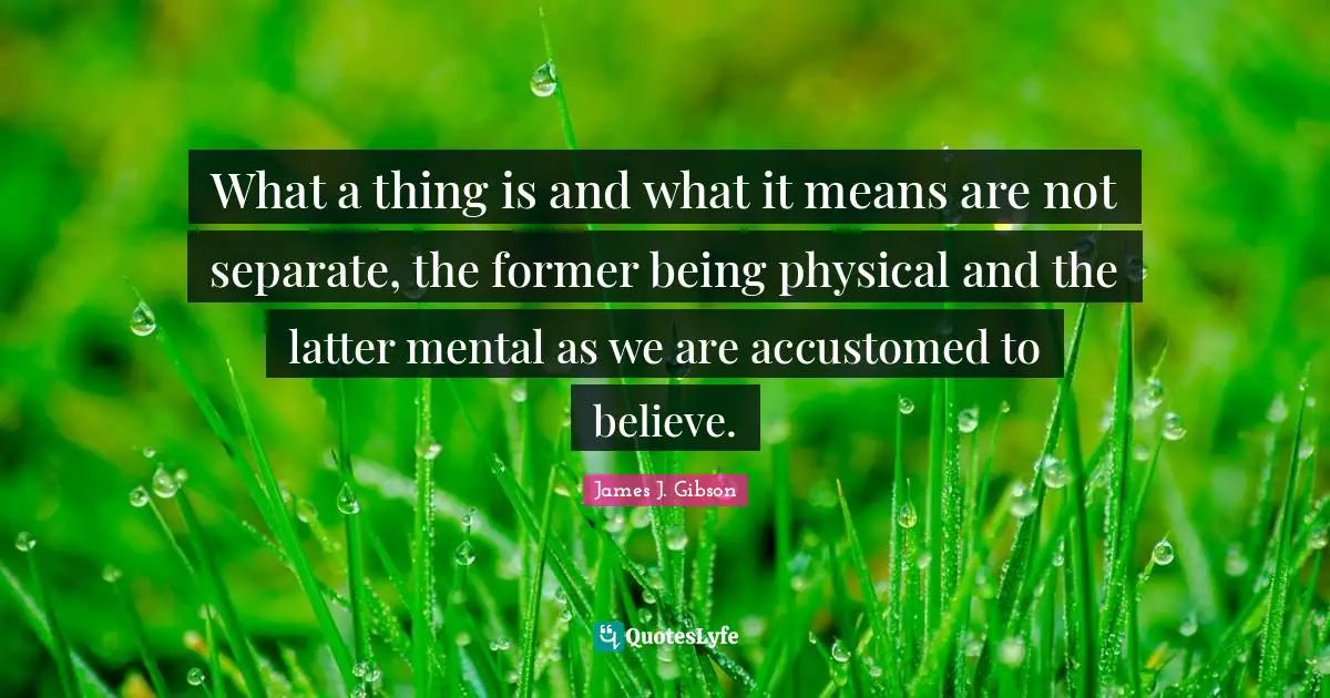 Accustomed Quotes: "What a thing is and what it means are not separate, the former being physical and the latter mental as we are accustomed to believe."
