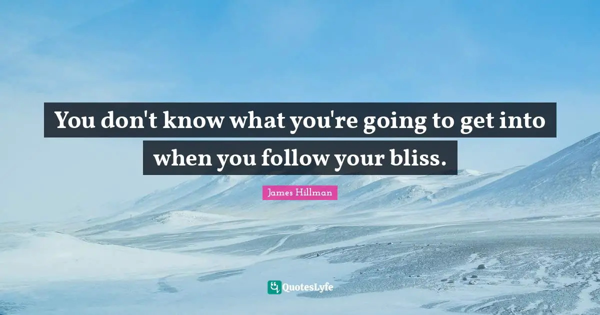 James Hillman Quotes: "You don't know what you're going to get into when you follow your bliss."