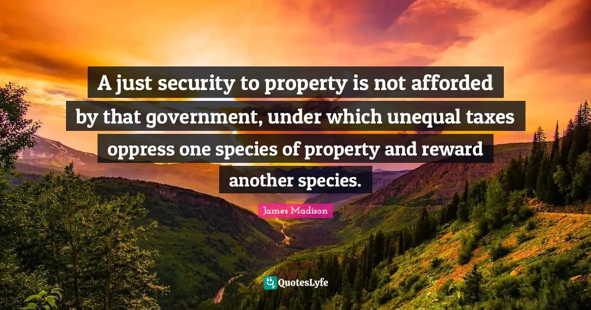 A just security to property is not afforded by that government, under which unequal taxes oppress one species of property and reward another species.
