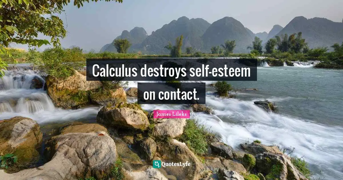 Calculus Quotes: "Calculus destroys self-esteem on contact."