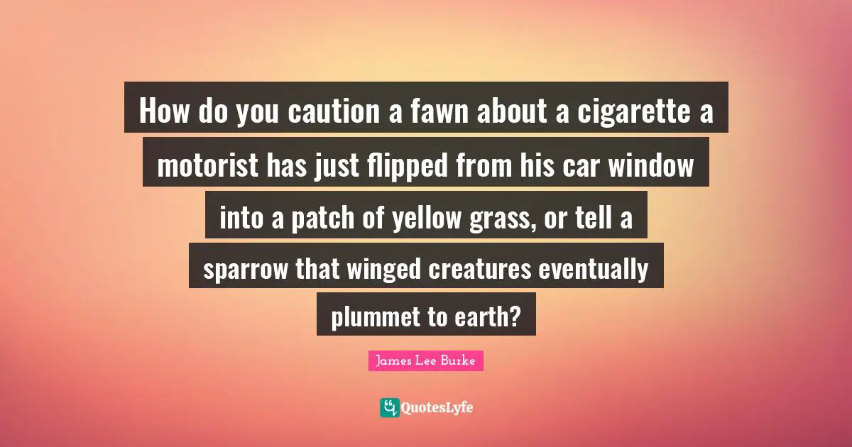 How do you caution a fawn about a cigarette a motorist has just flipped from his car window into a patch of yellow grass, or tell a sparrow that winged creatures eventually plummet to earth?