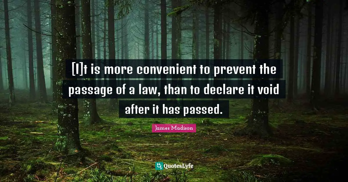 Void Quotes: "[I]t is more convenient to prevent the passage of a law, than to declare it void after it has passed."