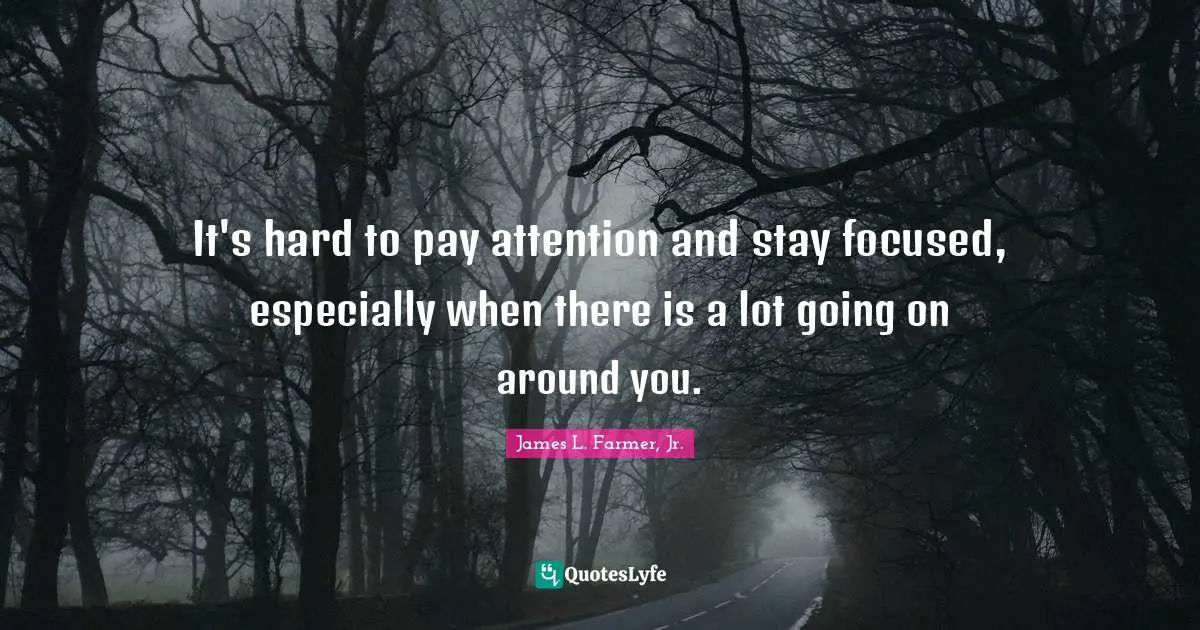 Stay Focused Quotes: "It's hard to pay attention and stay focused, especially when there is a lot going on around you."
