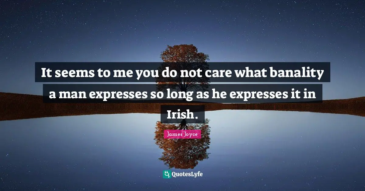 It seems to me you do not care what banality a man expresses so long as he expresses it in Irish.