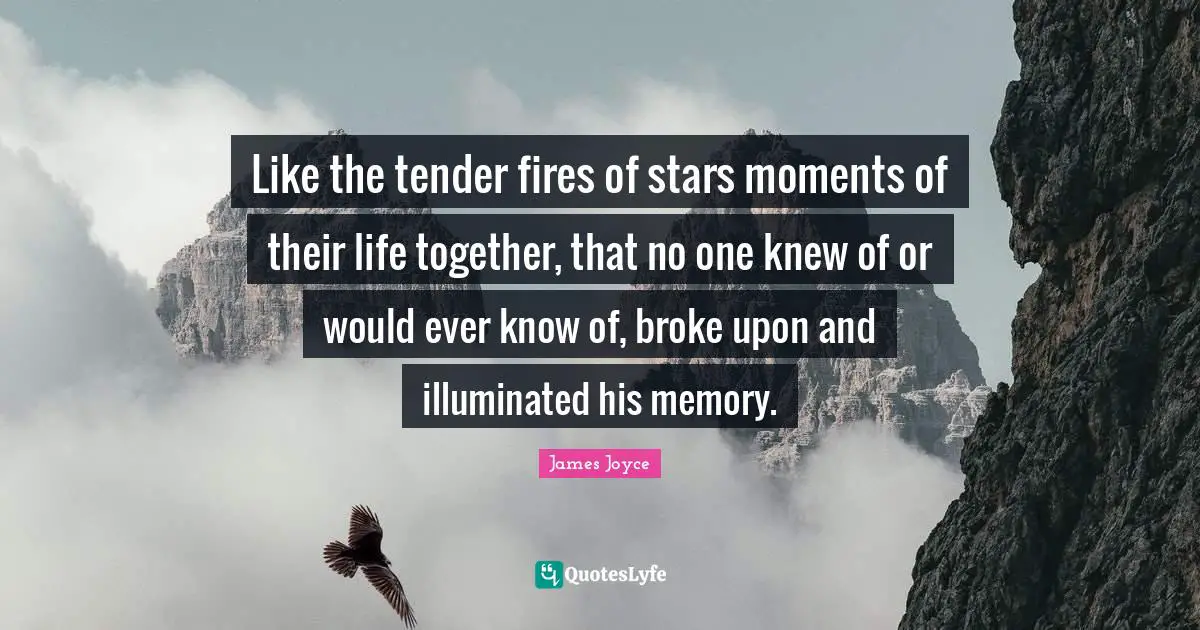 Like the tender fires of stars moments of their life together, that no one knew of or would ever know of, broke upon and illuminated his memory.