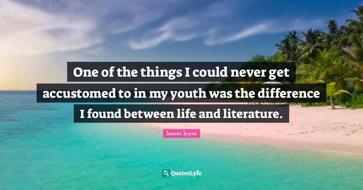 One of the things I could never get accustomed to in my youth was the difference I found between life and literature.