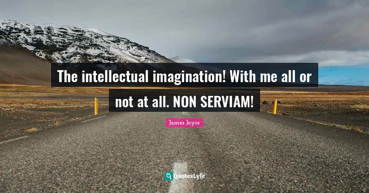 The intellectual imagination! With me all or not at all. NON SERVIAM!