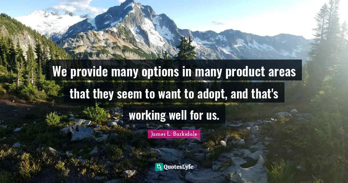 James L. Barksdale Quotes: "We provide many options in many product areas that they seem to want to adopt, and that's working well for us."