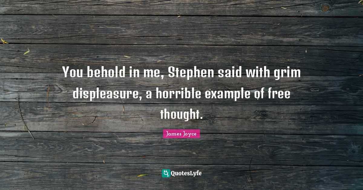 You behold in me, Stephen said with grim displeasure, a horrible example of free thought.