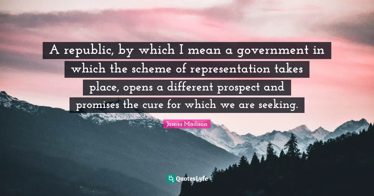 A republic, by which I mean a government in which the scheme of representation takes place, opens a different prospect and promises the cure for which we are seeking.
