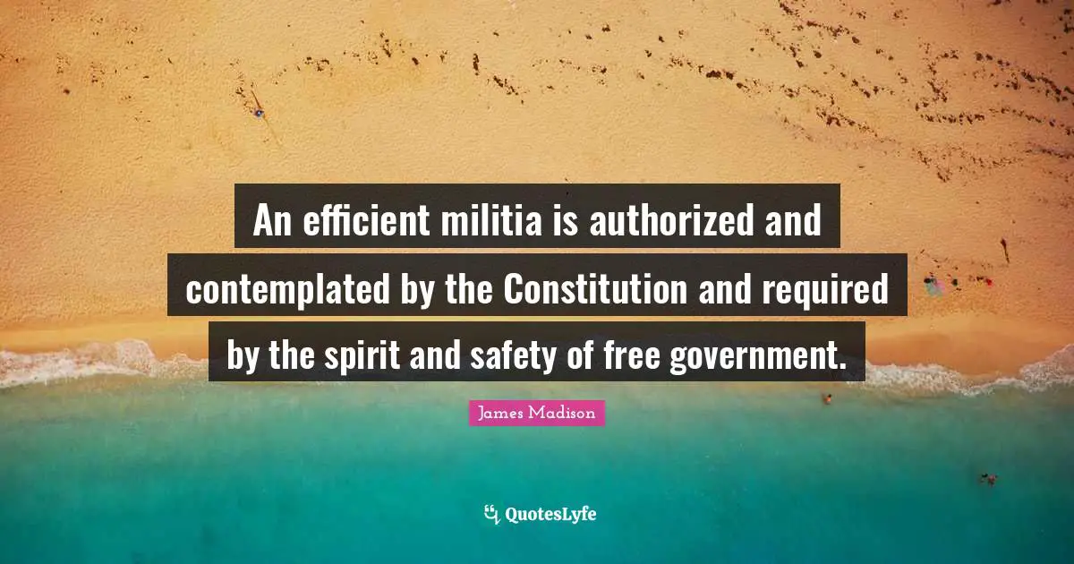 An efficient militia is authorized and contemplated by the Constitution and required by the spirit and safety of free government.