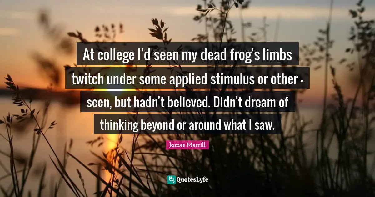 At college I'd seen my dead frog's limbs twitch under some applied stimulus or other - seen, but hadn't believed. Didn't dream of thinking beyond or around what I saw.