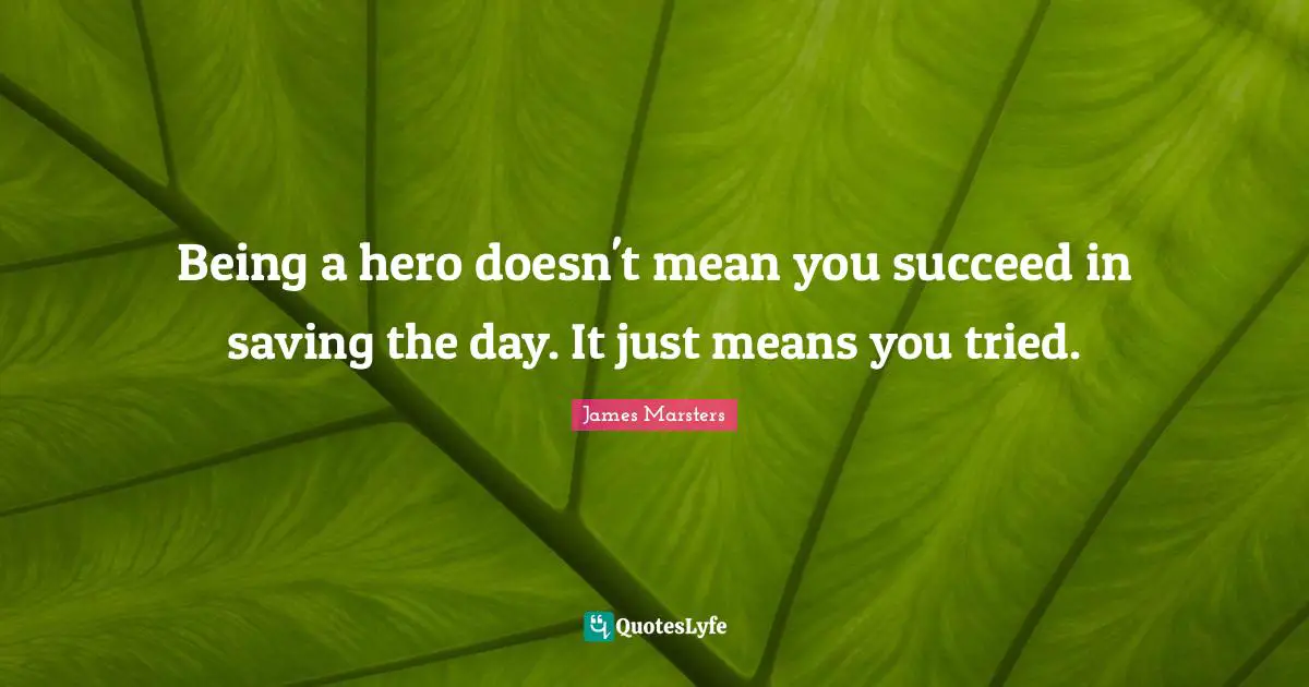 Being a hero doesn't mean you succeed in saving the day. It just means you tried.