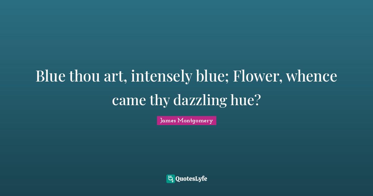Blue thou art, intensely blue; Flower, whence came thy dazzling hue?