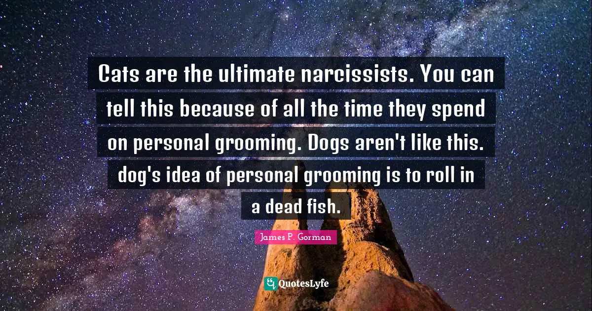 Cats are the ultimate narcissists. You can tell this because of all the time they spend on personal grooming. Dogs aren't like this. dog's idea of personal grooming is to roll in a dead fish.