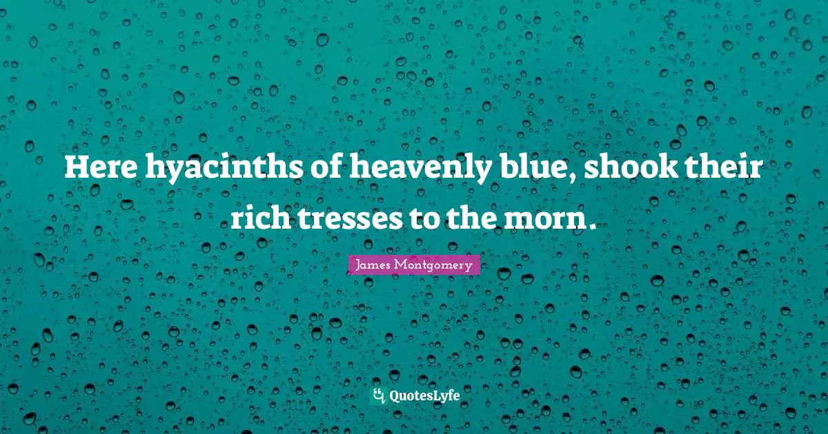 Here hyacinths of heavenly blue, shook their rich tresses to the morn.