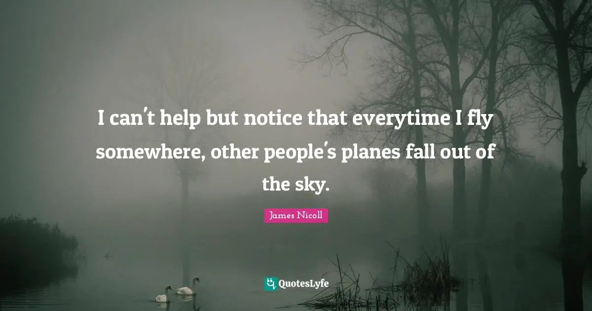 I can't help but notice that everytime I fly somewhere, other people's planes fall out of the sky.