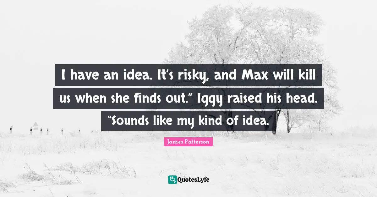 I have an idea. It’s risky, and Max will kill us when she finds out.” Iggy raised his head. “Sounds like my kind of idea.