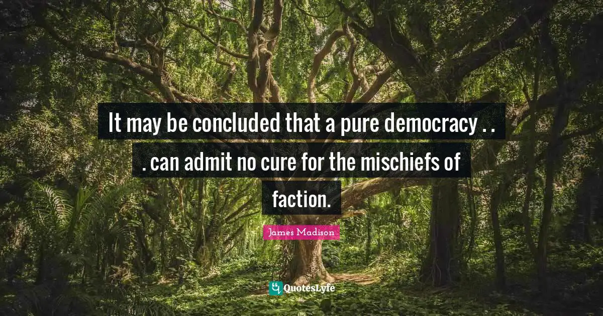 It may be concluded that a pure democracy . . . can admit no cure for the mischiefs of faction.