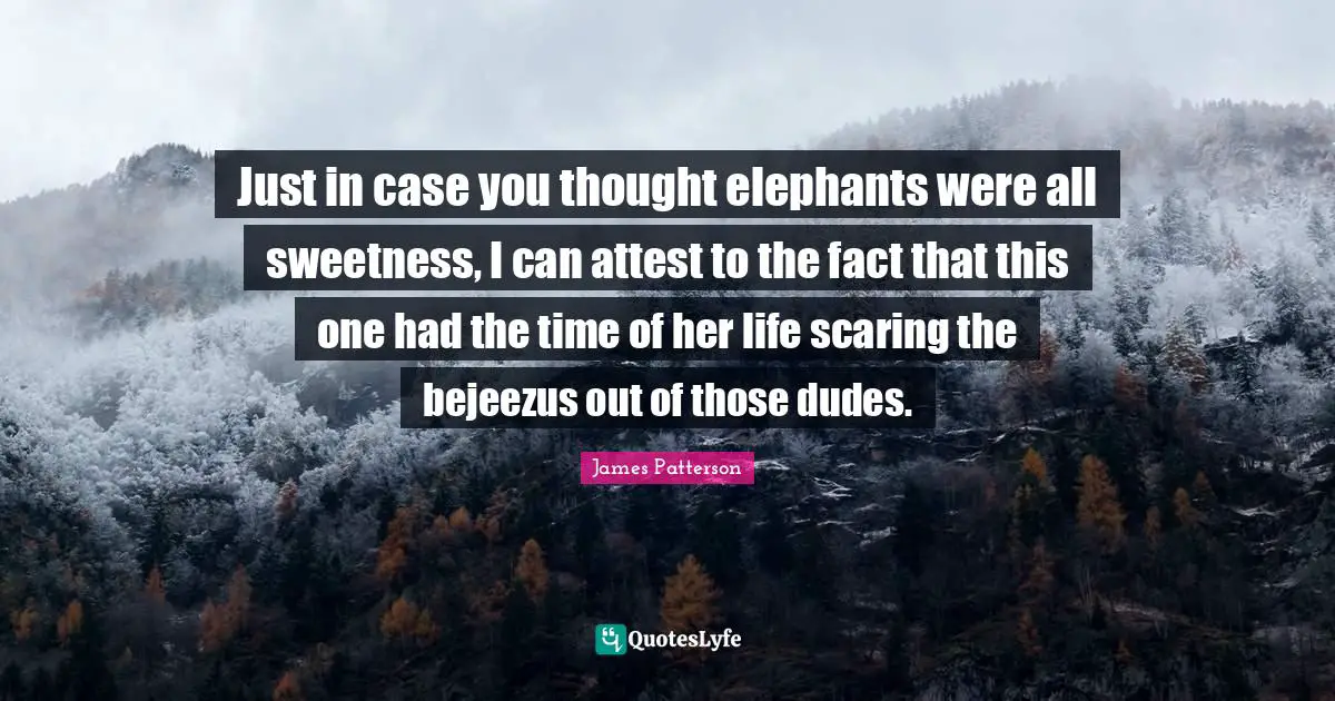Just in case you thought elephants were all sweetness, I can attest to the fact that this one had the time of her life scaring the bejeezus out of those dudes.