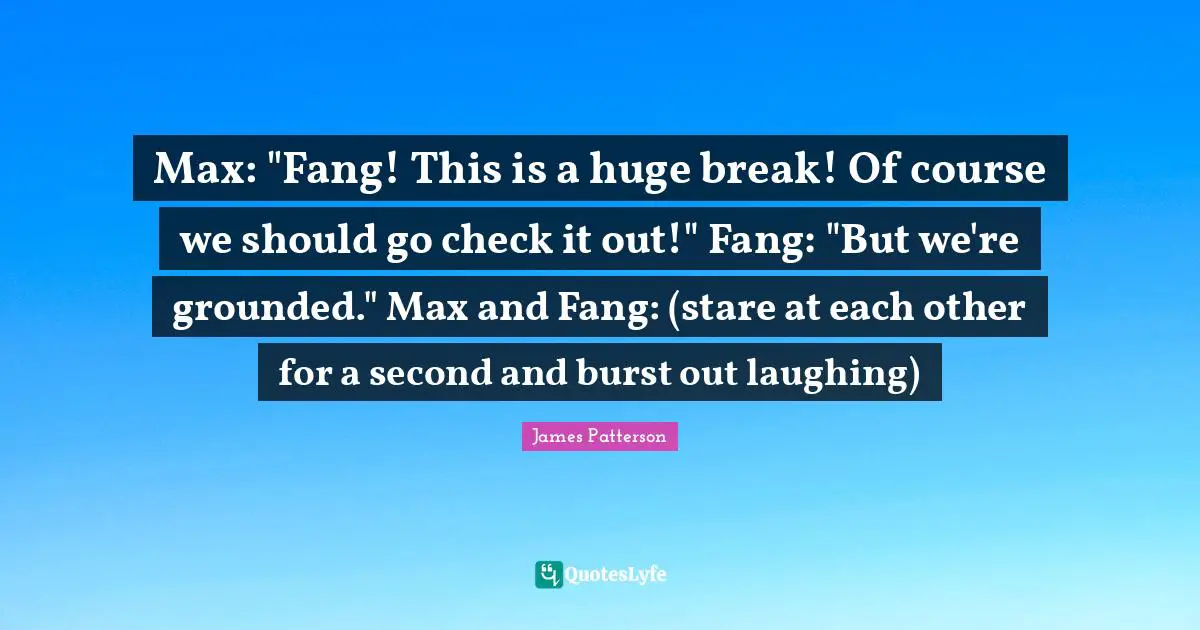 Max: "Fang! This is a huge break! Of course we should go check it out!" Fang: "But we're grounded." Max and Fang: (stare at each other for a second and burst out laughing)