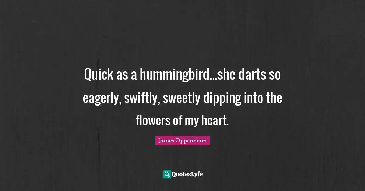 Flower Quotes: "Quick as a hummingbird...she darts so eagerly, swiftly, sweetly dipping into the flowers of my heart."
