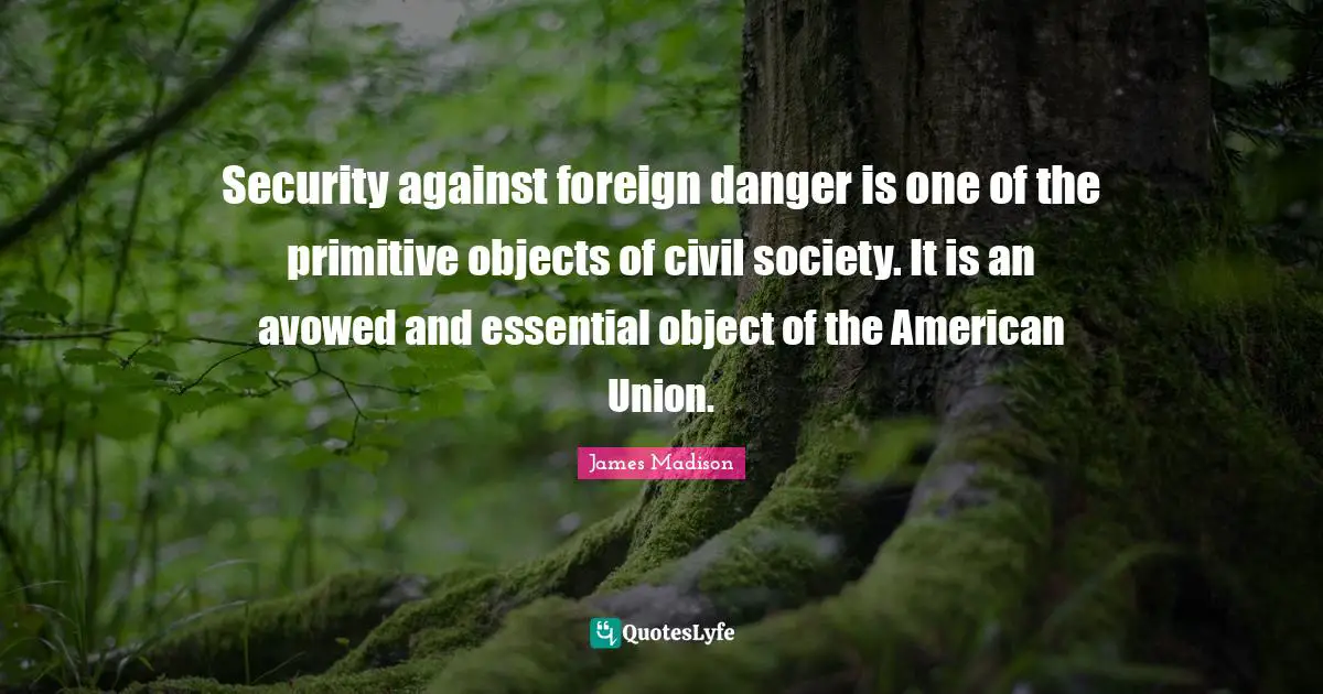 Civil Society Quotes: "Security against foreign danger is one of the primitive objects of civil society. It is an avowed and essential object of the American Union."