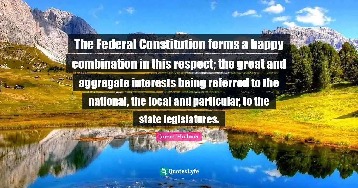 The Federal Constitution forms a happy combination in this respect; the great and aggregate interests being referred to the national, the local and particular, to the state legislatures.