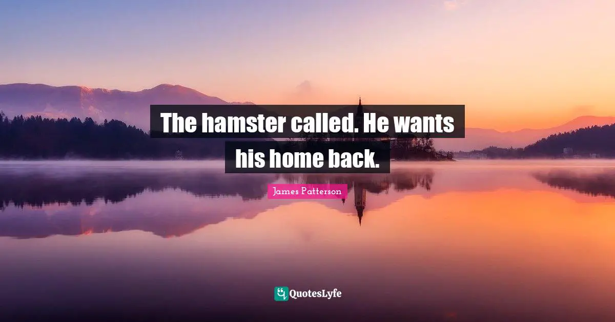 The hamster called. He wants his home back.