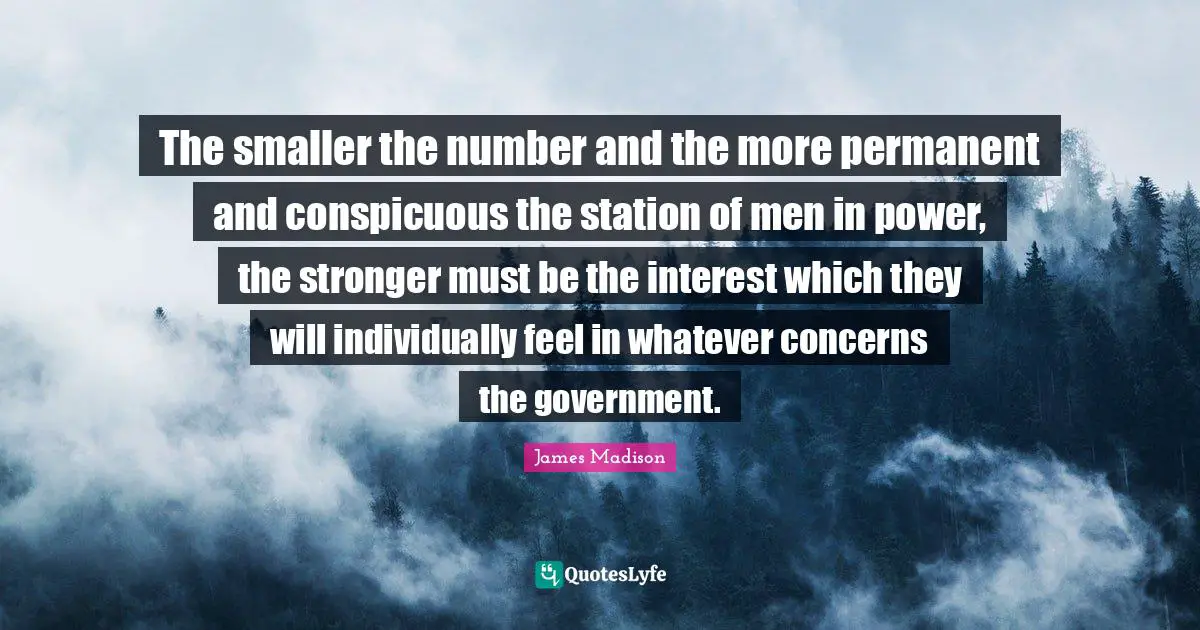 The smaller the number and the more permanent and conspicuous the station of men in power, the stronger must be the interest which they will individually feel in whatever concerns the government.