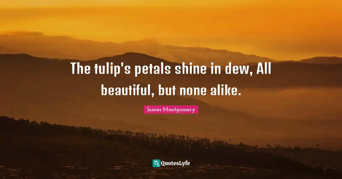 James Montgomery Quotes: "The tulip's petals shine in dew, All beautiful, but none alike."
