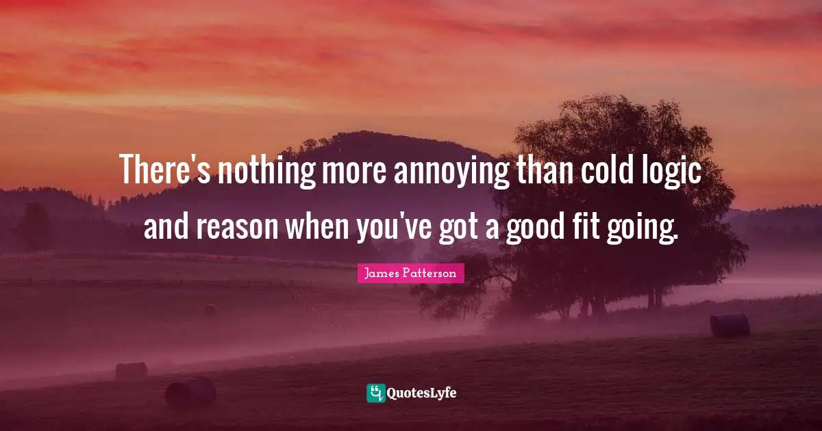 There's nothing more annoying than cold logic and reason when you've got a good fit going.